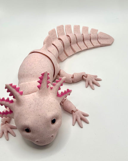 Axolotl