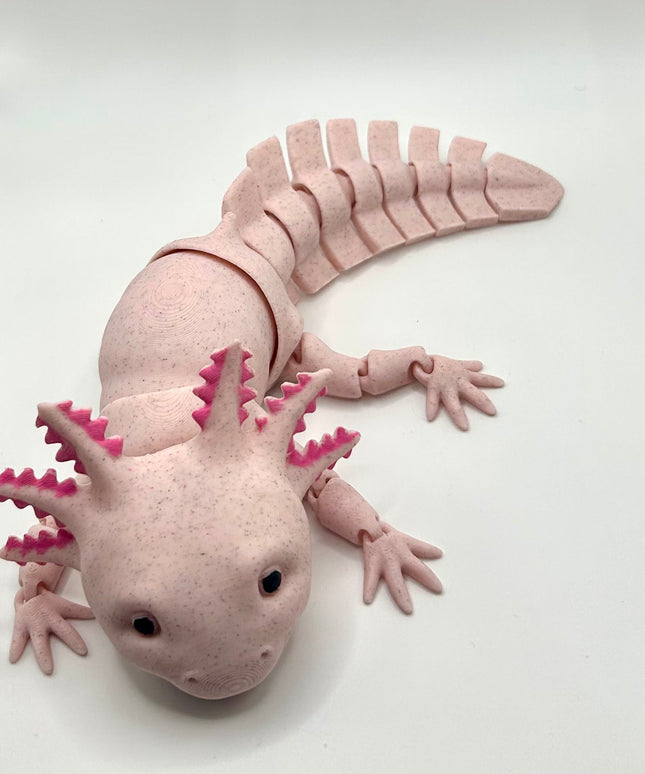 Axolotl