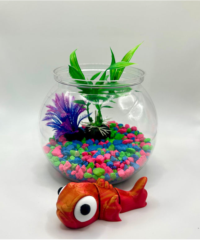 Fish Aquarium