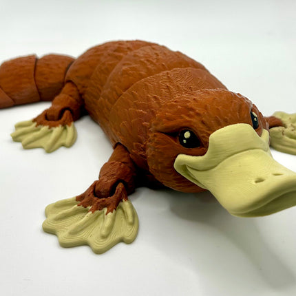Collection image for: Pet Animals